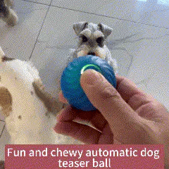 Furlo™ AutoChase Ball