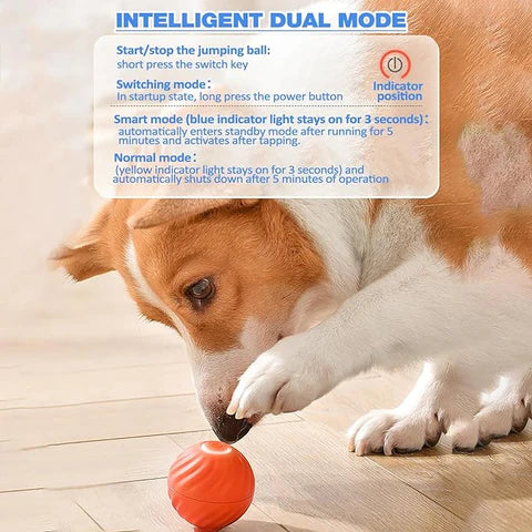Furlo™ AutoChase Ball