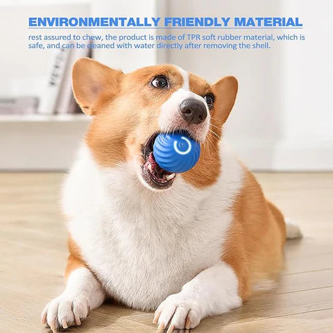 Furlo™ AutoChase Ball