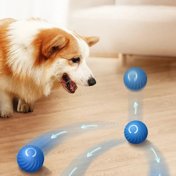 Furlo™ AutoChase Ball