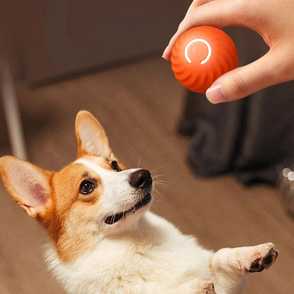 Furlo™ AutoChase Ball