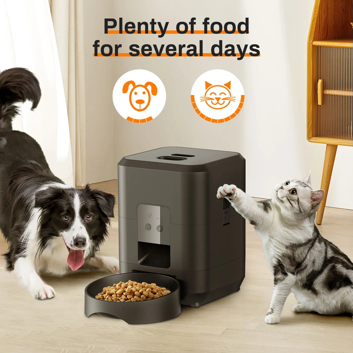 Furlo™ SmartFeast Feeder
